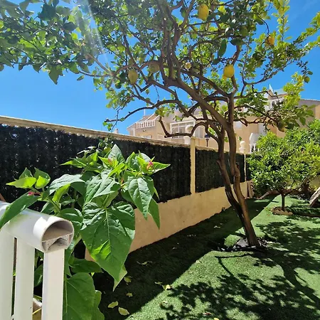 Awesome In With Swimming Pool Holiday home Torrevieja