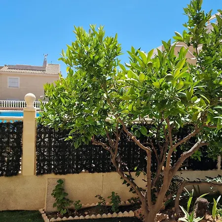 Awesome In With Swimming Pool * Torrevieja